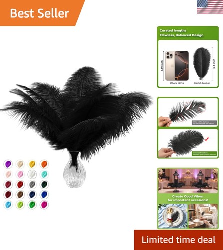 Pcs natural black ostrich - 20,
