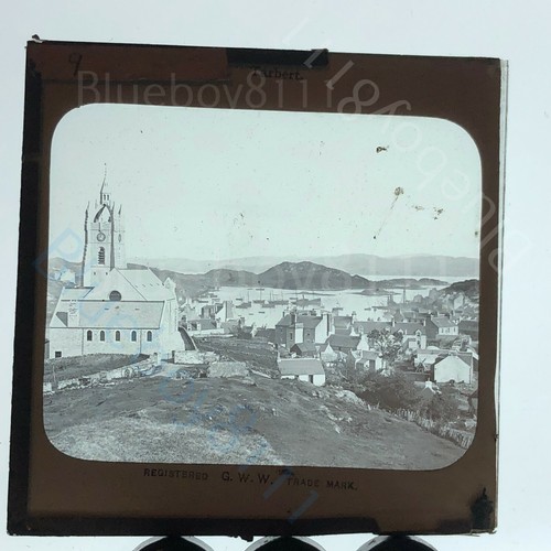 Tarbert gww magic - tarbert,