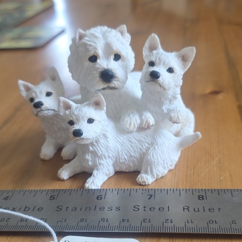 Border fine arts dogs - fine, &