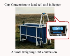Livestock Vet scale Veterinary Scale Hog Scale, Sheep Scale and Goat Scale