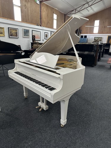 Yamaha white grand piano - g2,