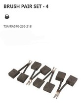 Raymond Forklift 570-236/218 Brush Set of 4 (New)