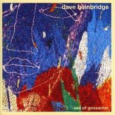 Dave Bainbridge : The Veil of Gossamer CD (2019) Expertly Refurbished Product