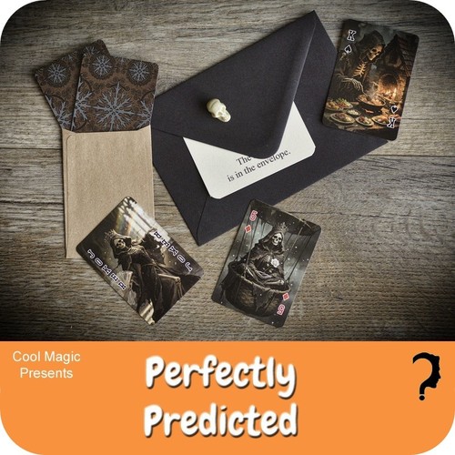 Perfectly predicted prediction - predicted,