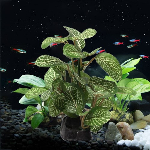 1pc aquarium water plants - aquarium,