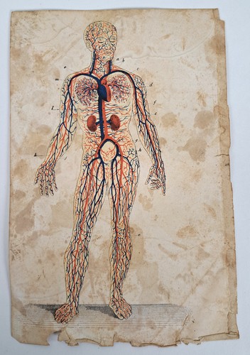 Antique 1820s hand - hand, colored