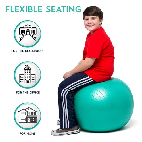 Balance ball 55cm - balance,