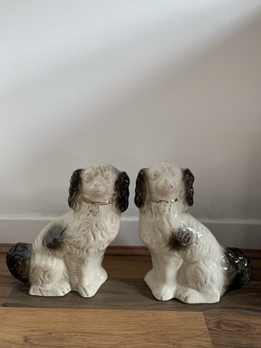 Staffordshire spaniels - 2x,