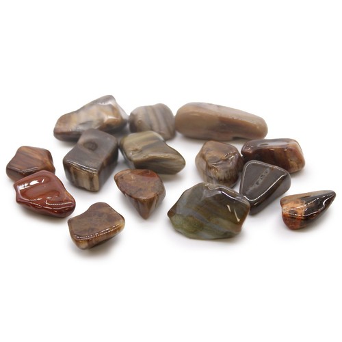 Tumble stone petrified - tumble,