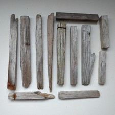 Mixed collection of driftwood