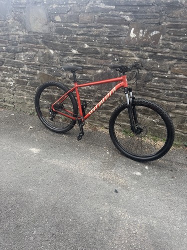 Specialized rockhopper 29er - specialized,