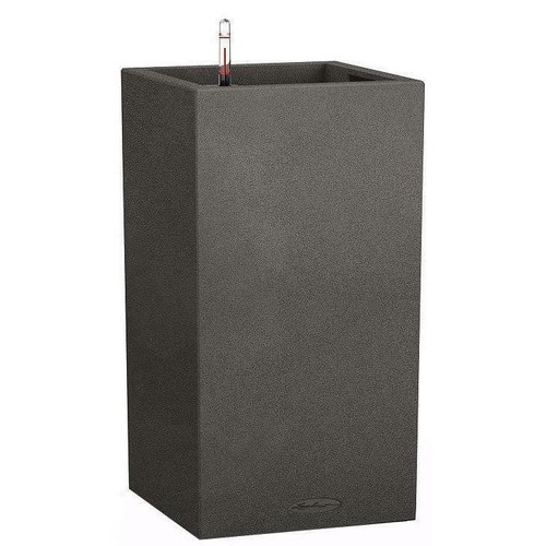 Tall large indoor - tall,
