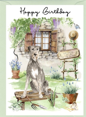 Irish wolfhound dog - irish,
