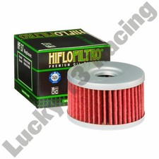 HF137 oil filter Hiflo Filtro