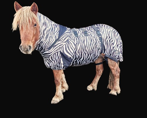 Sweet itch rug fly - rug,