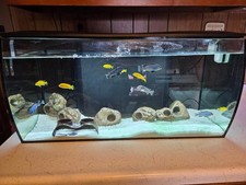 fluval flex 32.5 with