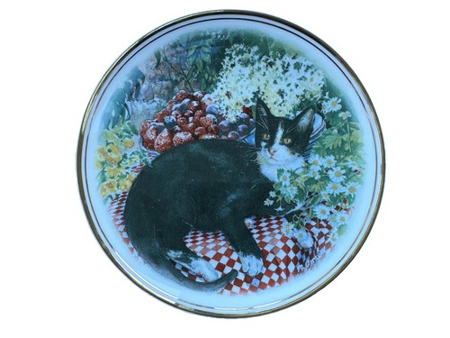 Royal vale bone china - royal,