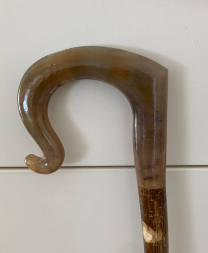 Cow horn crook handle - horn, stick