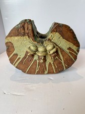 Bernard Rooke Amazing