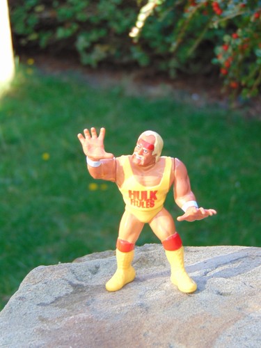 Wwf hasbro hulk hogan - hasbro,