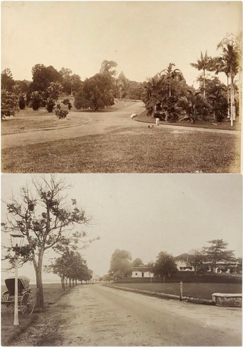 Two large 1880 albumen - large, 1880/90