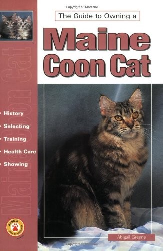 Guide owning maine coon - guide,