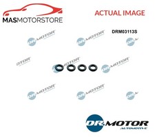 SEAL RING INJECTOR DRMOTOR