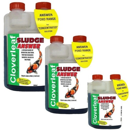 Cloverleaf sludge answer - cloverleaf,