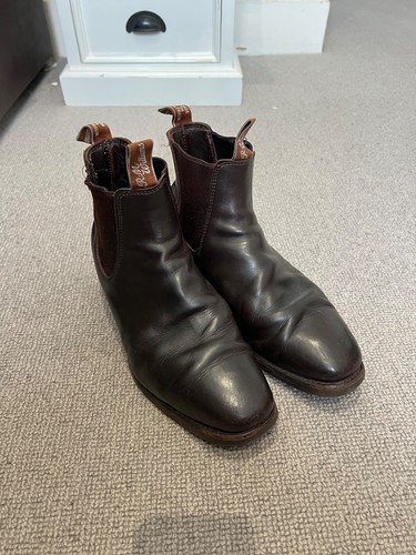 Williams chestnut brown - williams,