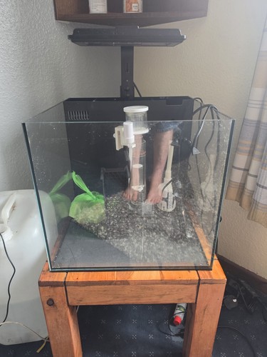 Maxspect dice nano reef tank - ,