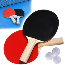 Instant Table Tennis Two Bats