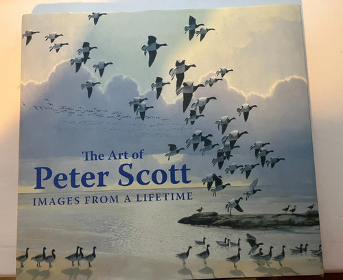 The art peter - art, scott: