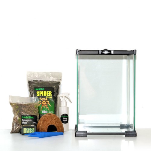 Invertebrate glass terrarium - glass,