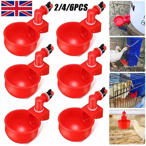 6pcs automatic waterer - 1-6pcs,
