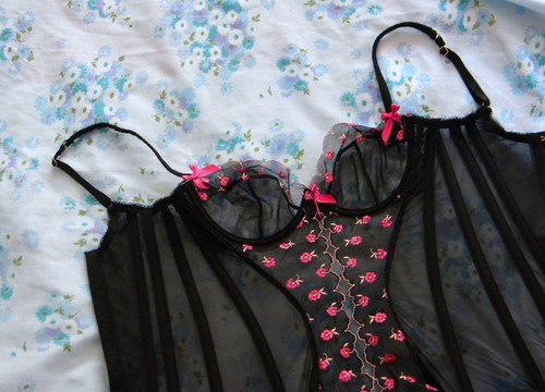 Agent provocateur - l'agent,