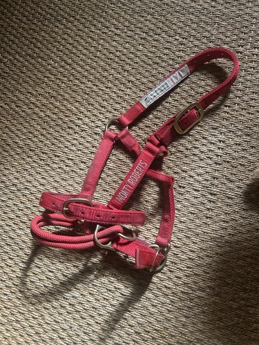 Monty roberts dually halter - monty,