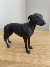 Lurcher / Greyhound Dog