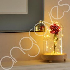 Beauty & the Beast Inspired