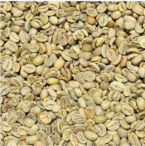 Green coffee beans - beans, raw