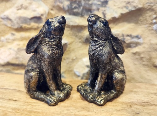 Pair moon gazing hares - moon,