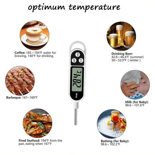 Digital meat food temperature - meat,
