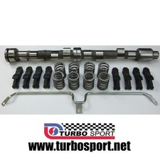 Ford Pinto camshaft mild road profile Cam kit from new chillcast blank