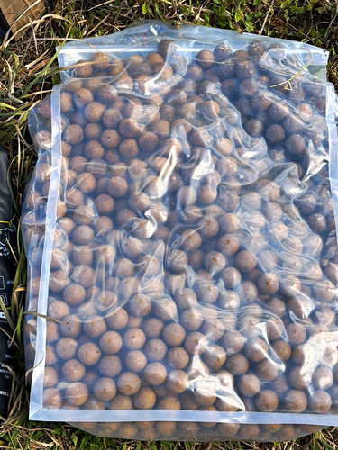 Nash bait shelf life - life, 20mm