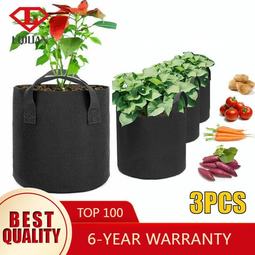 3pcs plant grow - 3pcs,
