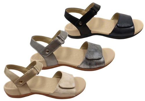 Womens scholl orthaheel alina - scholl,