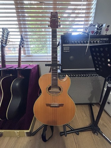 Washburn ea26 craig chaquico - ea26,