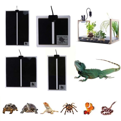 Pet reptile heater - heater, tank