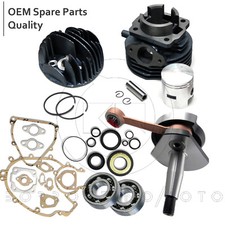 Kit Rms Cylinder Piston D.47