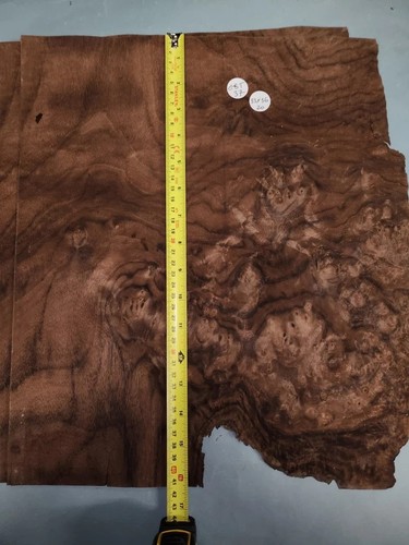 American walnut burr - american,
