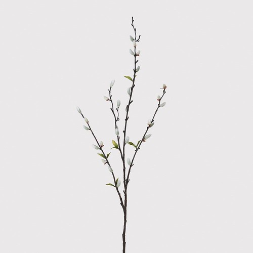 Natural pussy willow with - natural,